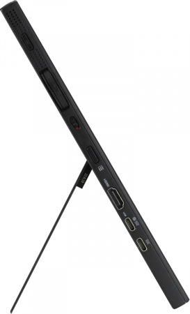 Монитор ASUS ProArt pA169cDV, 31,5" (90LM0711-B01I70)