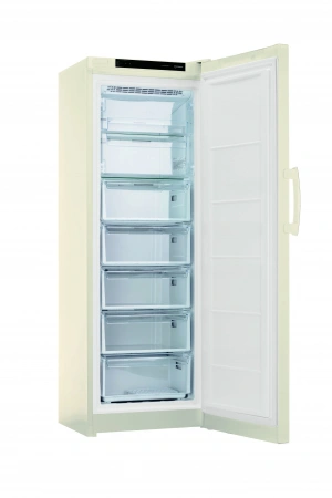 Морозильная камера Indesit DFZ5175E